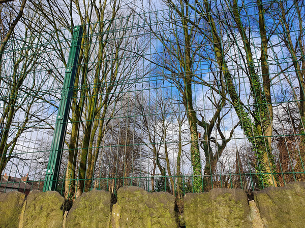 1.8m High V-Defence Mesh for St Paul's Primary School in Bolton