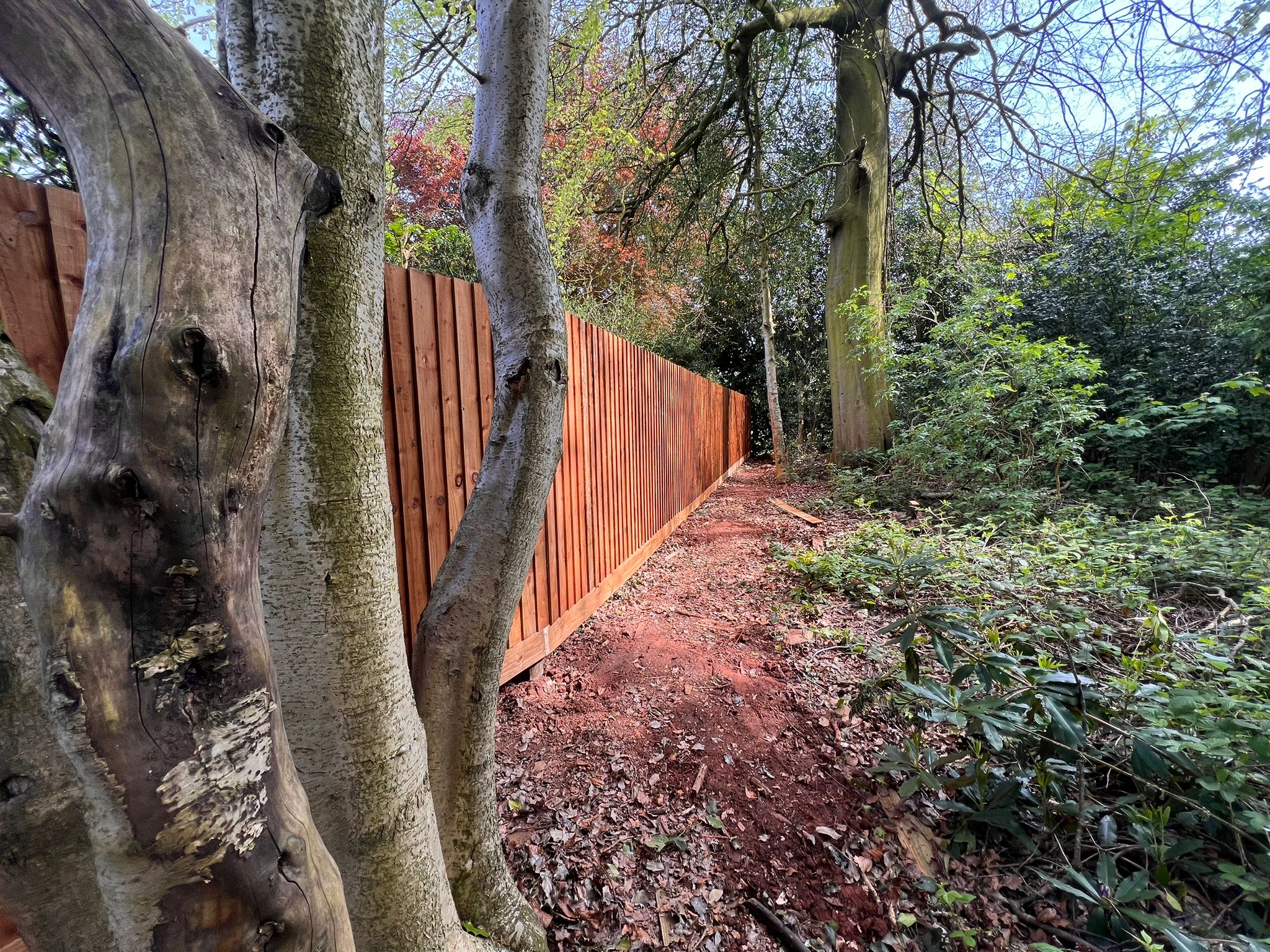Transforming a Domestic Property with Featheredge Insitu Fencing in Ba