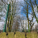 V-Defence Mesh Fencing