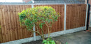 Closeboard Fence Panel